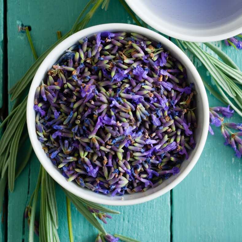 A bowl of lavender to be used in birth for pain relief